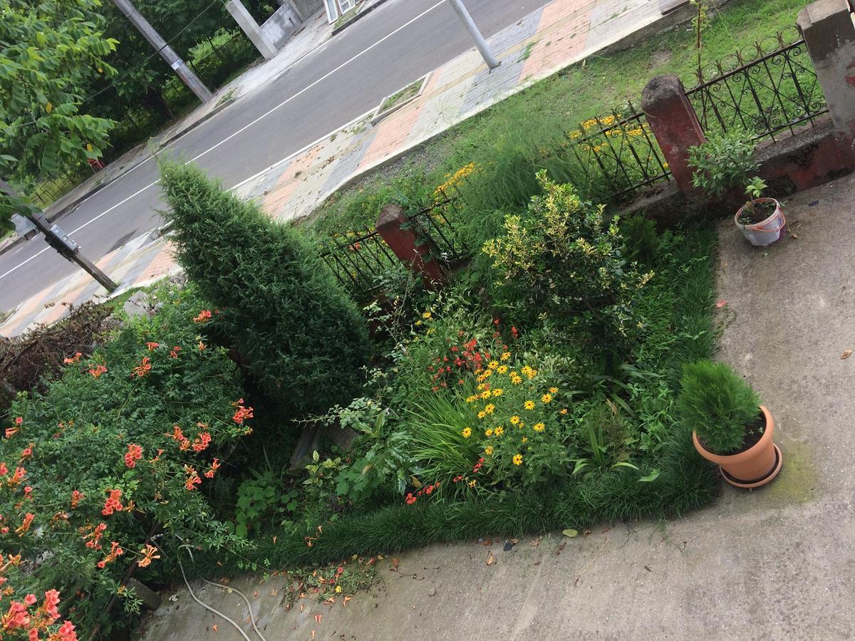 Natia Guest House Kobuleti Exterior photo